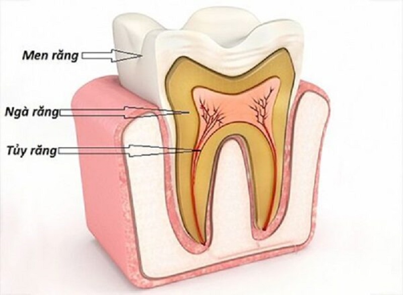 Răng có màu trong suốt: Dấu hiệu cảnh báo mất men răng bạn cần lưu ý